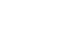 Spindog